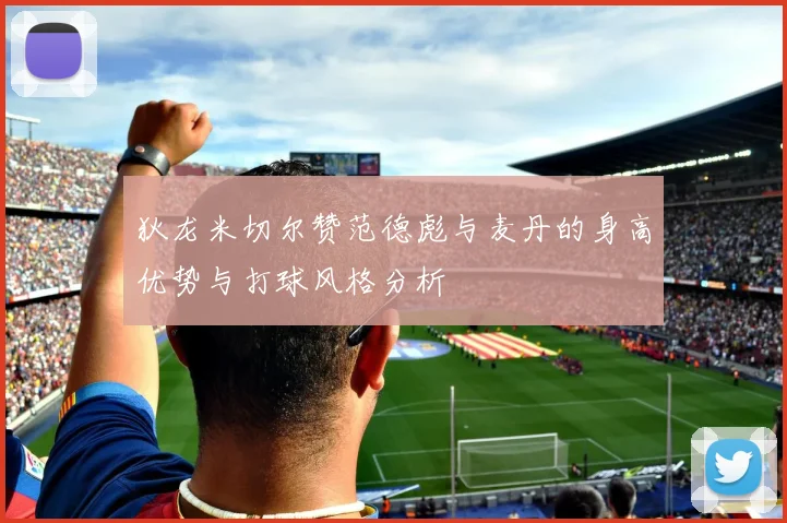 狄龙米切尔赞范德彪与麦丹的身高优势与打球风格分析
