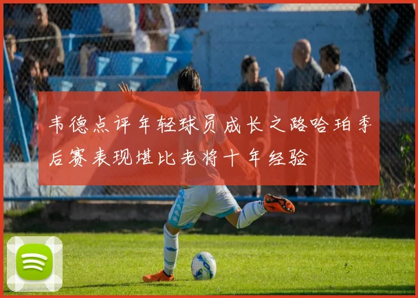 韦德点评年轻球员成长之路哈珀季后赛表现堪比老将十年经验